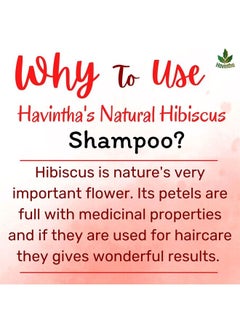 Havintha Natural Amla Reetha Shikakai Methidana And Hibiscus Powder Shampoo for Hair – 227 grams  - Image 4
