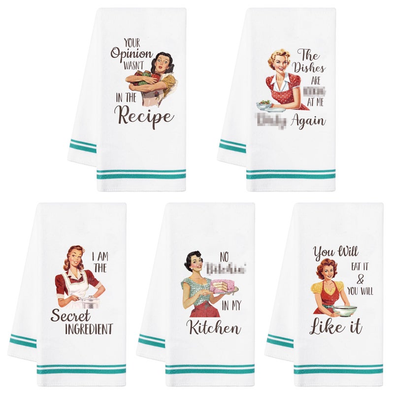 R HORSE 5Pcs Kitchen Dish Towel Funny Joked Themed Kitchen Dishcloth Absorbent Retro Sassy Lady Cleaning Dishcloth Bar Hilarious Hand Towel Gift for Hostess Mom Women Housewarming - Image 1