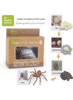 Realistic Simulation Animal Plant Models Toy Collection - Dinosaurs Dragons Unicorns Mermaids Sharks More-Color:PL127-2405 Spider Growth Cycle + English Card + Color Box 53.6g