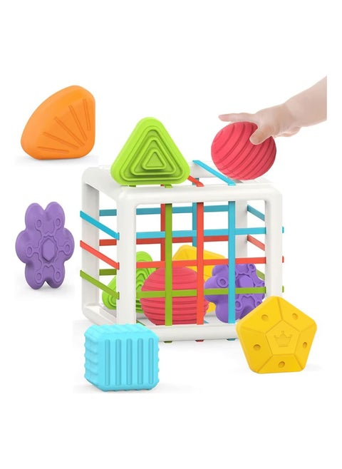 Montessori Toys for 1 Year Old,Baby Sorter Toy Colorful Cube and 6 Pcs Multi Sensory Shape, Toddler Developmental Learning Toys Birthday Gifts,Baby Toys 6-12-18 Months
