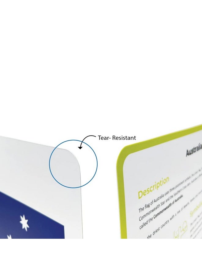 BRAINSMITH Brainsmith Quantum Flash Cards, National Flags - Educational Flashcard Set 3 for Toddlers and Kids (8 months to 8 years) for Brain Development  - Image 5