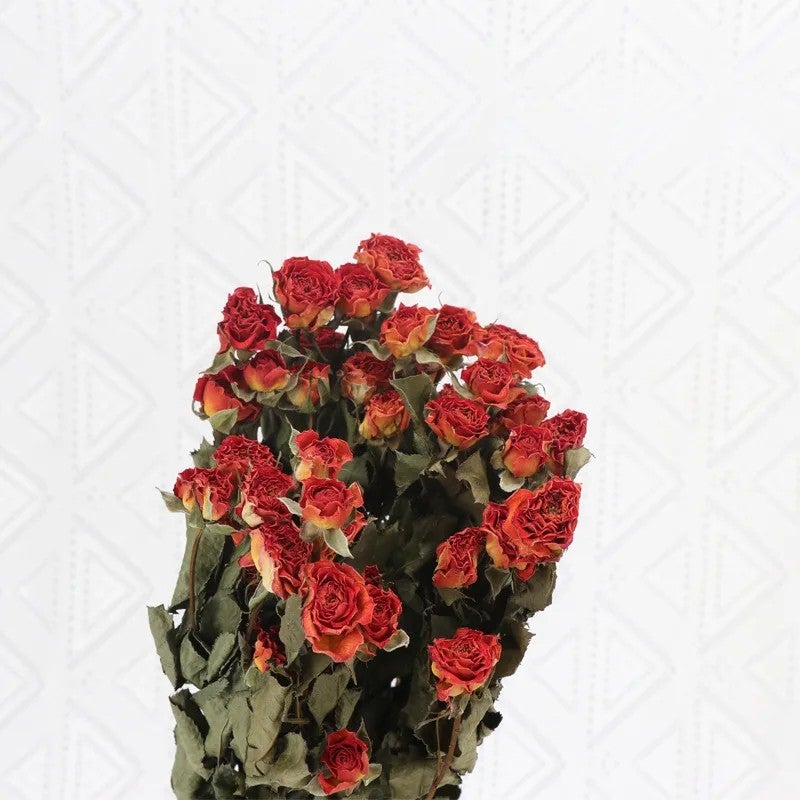 Bluejw Home Wedding Decoration with Real Dried Flowers – Multi-Color Dried Rose Bunch for Everyday Use, Natural Dried Plants Arrangement - Image 1