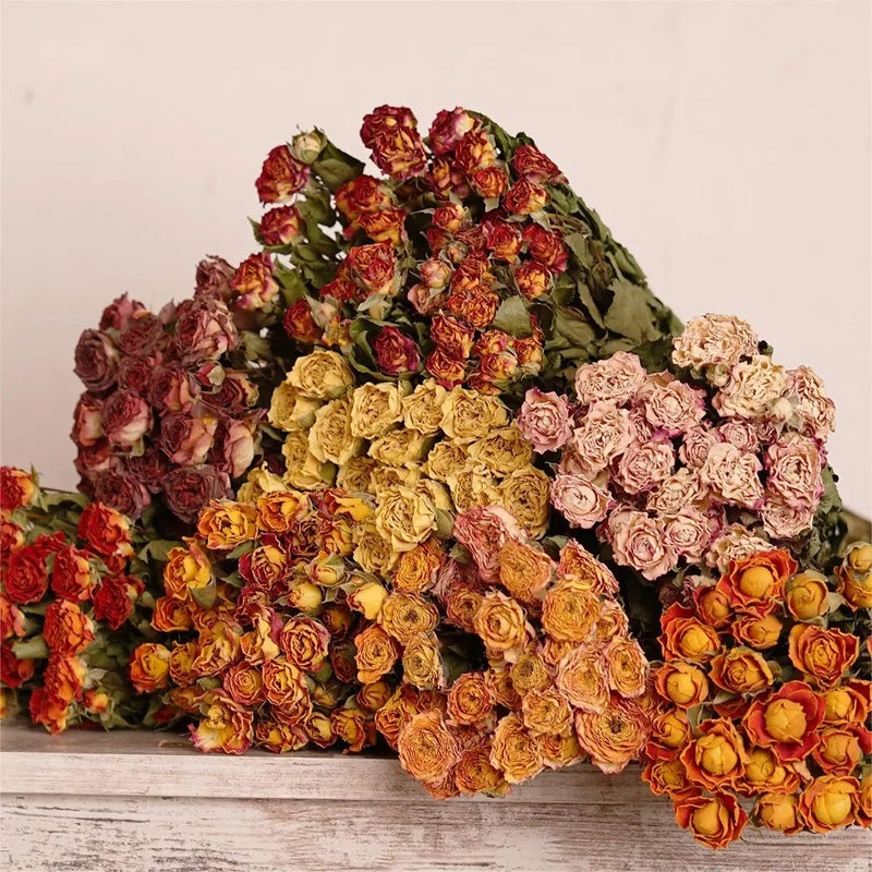 Bluejw Home Wedding Decoration with Real Dried Flowers – Multi-Color Dried Rose Bunch for Everyday Use, Natural Dried Plants Arrangement - Image 2