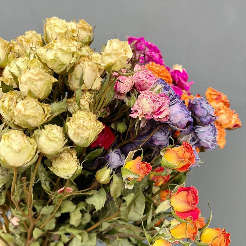 Bluejw Home Wedding Decoration with Real Dried Flowers – Multi-Color Dried Rose Bunch for Everyday Use, Natural Dried Plants Arrangement - Image 5