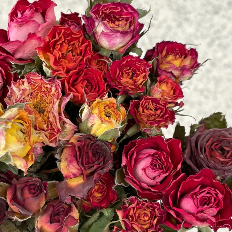 Bluejw Home Wedding Decoration with Real Dried Flowers – Multi-Color Dried Rose Bunch for Everyday Use, Natural Dried Plants Arrangement - Image 4