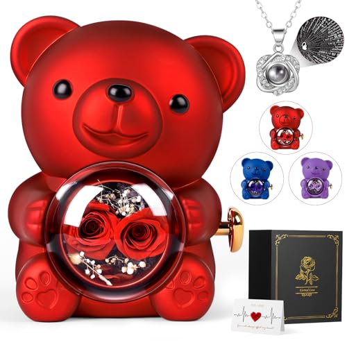 FuBegi Romantic Rose Bear Teddy with Preserved Rose for Mother's Day, Bear Gifts for Wife, Rose Bear Gift Box Set Valentine's Day Decor Gift for Her Women, Valentine's Day Weddings, Red - Image 1