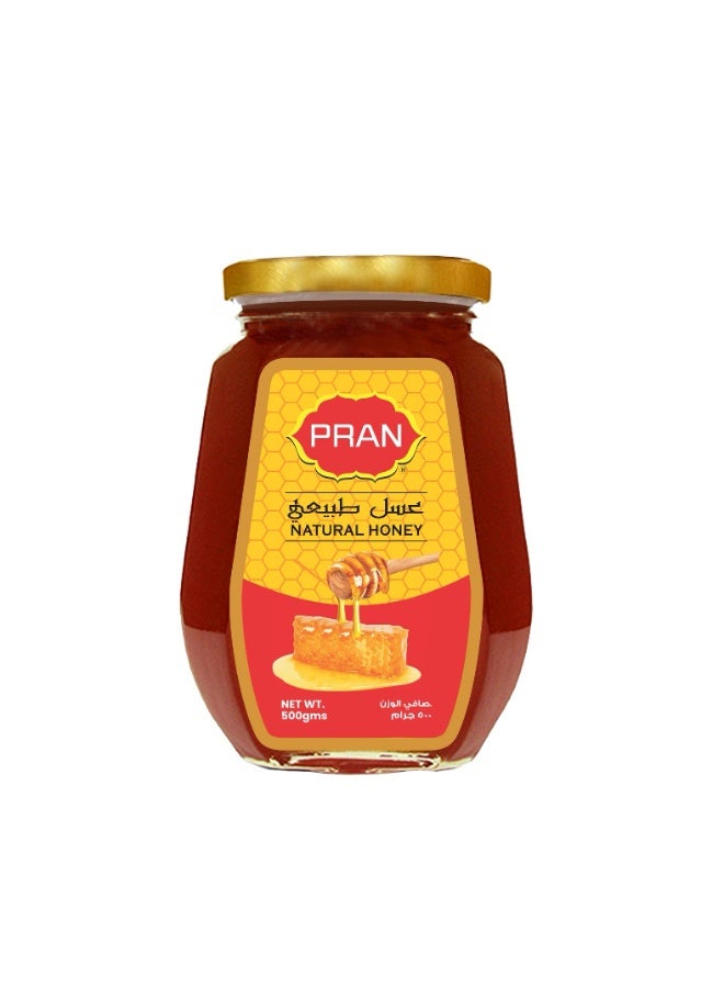 PRAN Natural Honey 500 gm