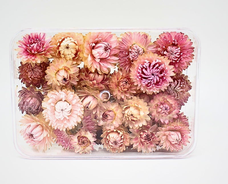 Natural Dried Strawflower Ready-to-Use Colorful, Home Accents & Long-Lasting Beauty Presented in their clear box, they make a thoughtful and unique gift used for resin potpourri (pink, S)