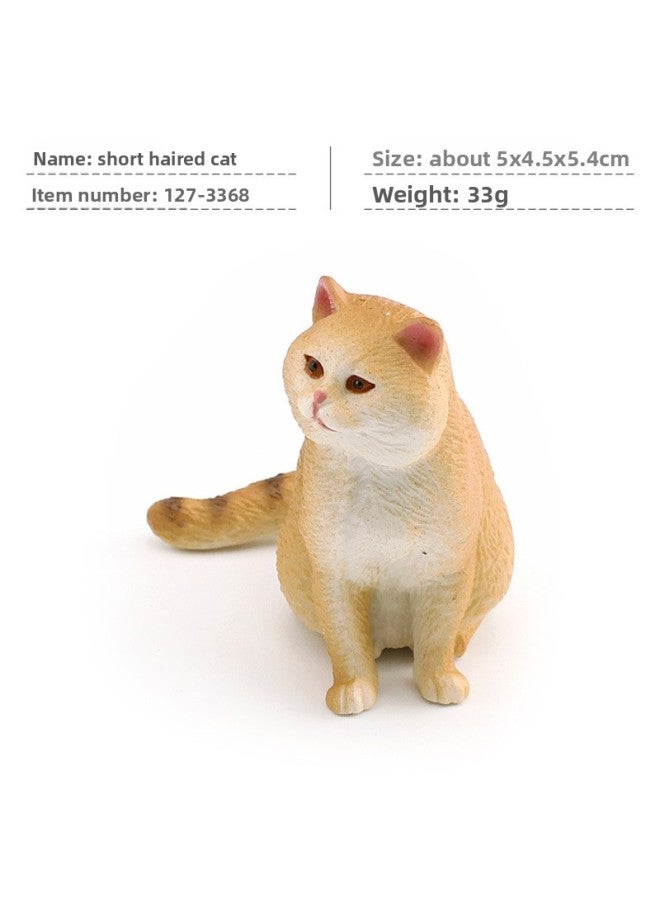 Cross-border Children's Mini Simulation Pet Cat Model Orange Cat Fat Cat British Short-haired Cat Pastoral Cat Decorative Ornaments 