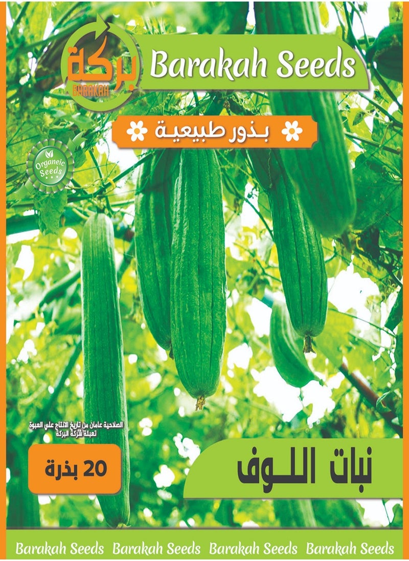 Generic High germination rate seeds - loofah 