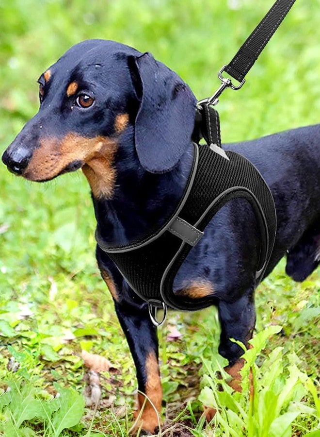 Joytale Small Dog Harness, Breathable Mesh Step-in Vest, Reflective Soft Padded Harnesses for Small and Medium Dogs, Black, M - Image 2