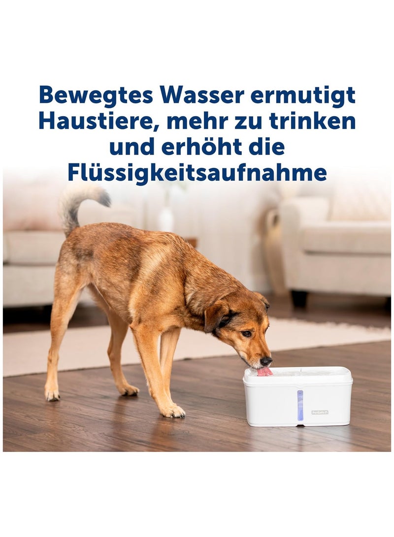 PetSafe Viva Drinking Fountain for Cats and Small Dogs - 4.1 l/140 oz, Indoor Cat Drinking Fountain with Extremely Quiet Pump, Dishwasher Safe, Easy Cleaning, Water Filter Included - Image 3