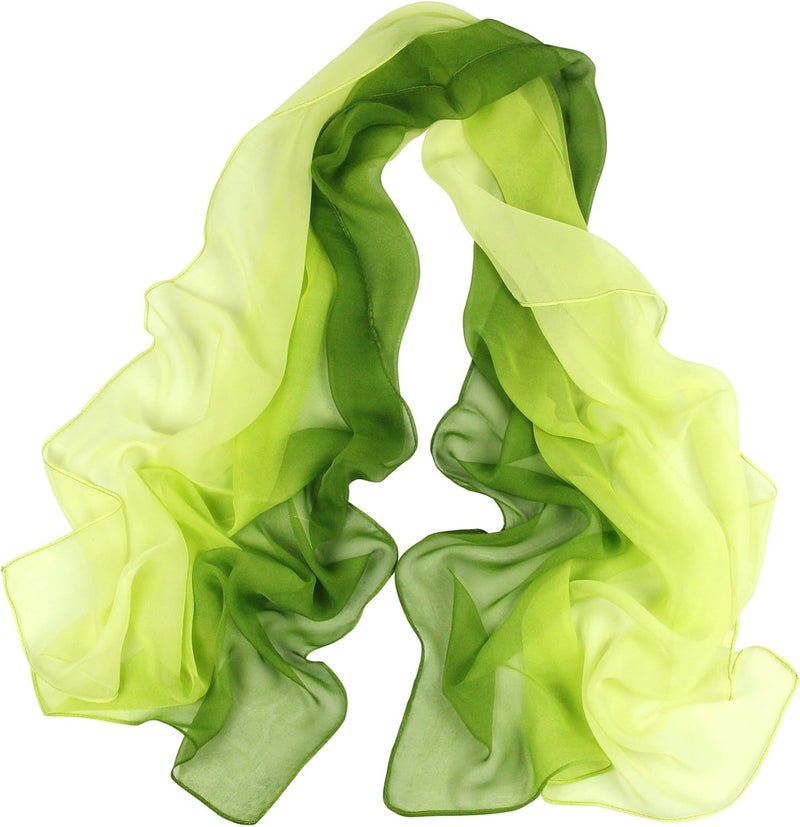 PANTONIGHT Long Chiffon Sheer Scarf Gradient Shaded Colors Lightweight Scarf For Womens - Image 1