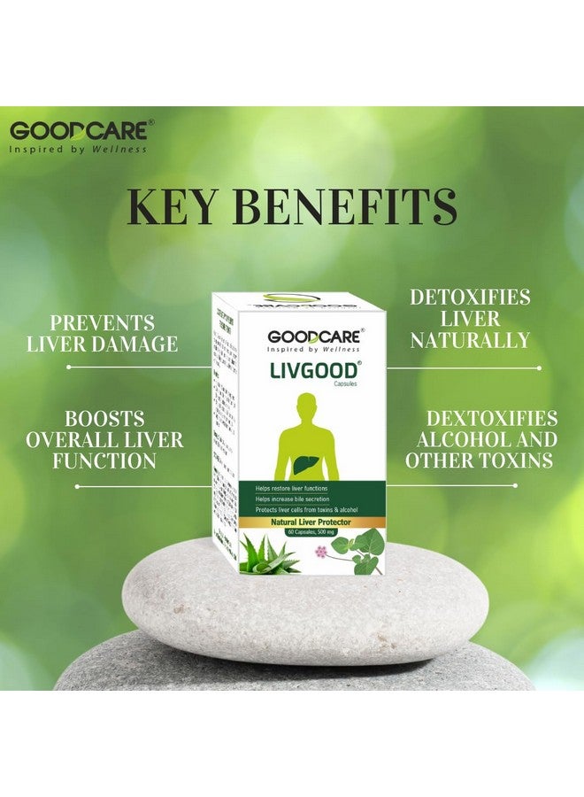 GOOD CARE GOODCARE Livgood - 60 Capsules | Restore liver function |Detox & Repair Fatty Liver Formula, Maintain Liver function | Regulates Bowl movement| With Ayurvedic Formulation - Image 3