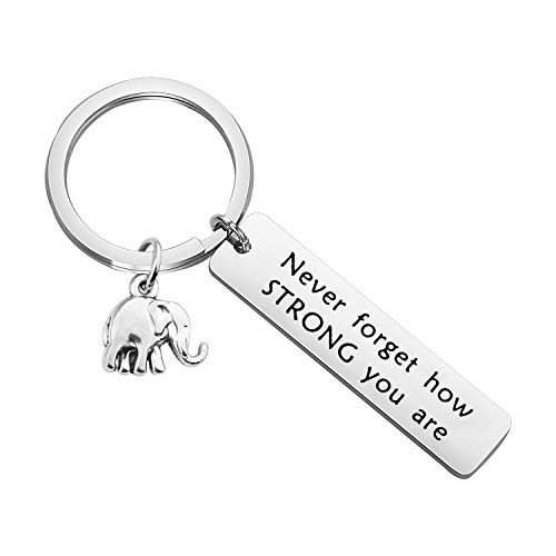bobauna Elephant Keychain Don't Forget How Strong You Are Strength Jewelry Uplifting Gift For Friend Family Animal Lovers (never forget keychain) - Image 1