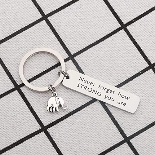 bobauna Elephant Keychain Don't Forget How Strong You Are Strength Jewelry Uplifting Gift For Friend Family Animal Lovers (never forget keychain) - Image 2