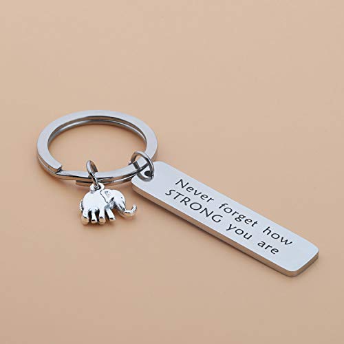 bobauna Elephant Keychain Don't Forget How Strong You Are Strength Jewelry Uplifting Gift For Friend Family Animal Lovers (never forget keychain) - Image 4