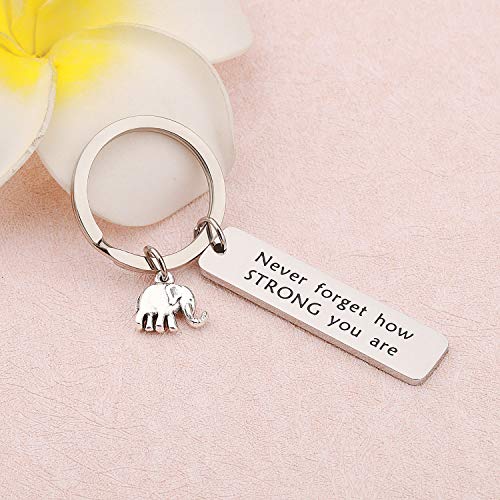 bobauna Elephant Keychain Don't Forget How Strong You Are Strength Jewelry Uplifting Gift For Friend Family Animal Lovers (never forget keychain) - Image 3