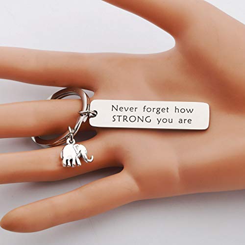 bobauna Elephant Keychain Don't Forget How Strong You Are Strength Jewelry Uplifting Gift For Friend Family Animal Lovers (never forget keychain) - Image 5