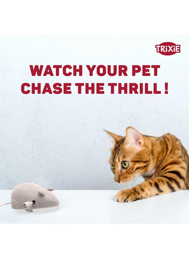 تريكسي، لعبة قطط، ألعاب فأر آلية للقطط، 7 سم، عبوة من قطعتين - Image 1