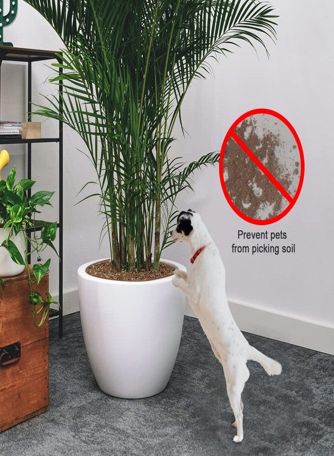 Modixun 1Pack Large Plant Pot Grid, Cuttable Flower Pot Soil Cover Protectors with Deep Stakes, Dogs, Cats Digging Stopper, Plant Grid Pot Cover, 52cm/20.5in Diameter - Image 5