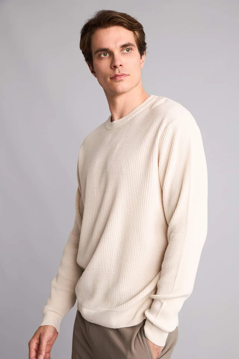 Defacto  Standard Fit Crew Neck Knitwear Pullover for Men | Best Price UAE