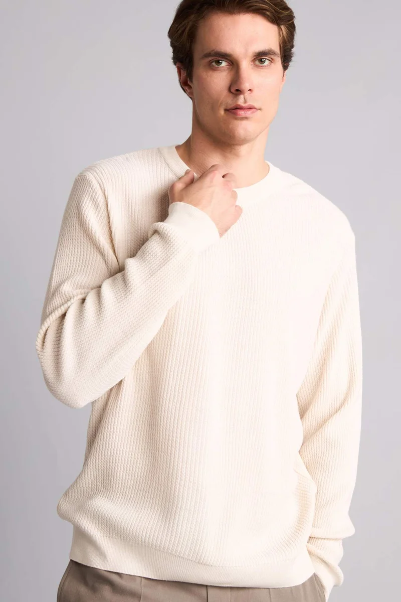 ديفاكتو Standard Fit Crew Neck Knitwear Pullover
