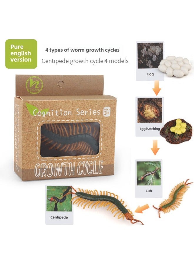 Realistic Simulation Animal Plant Models Toy Collection - Dinosaurs Dragons Unicorns Mermaids Sharks More-Color:PL127-2441 Centipede Growth Cycle + English Card + Color Box  - Image 1