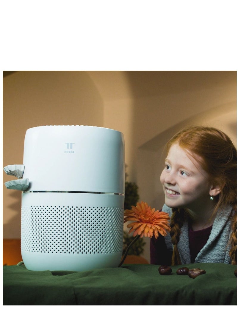 Tesla - منقي هواء ذكي صغير مع فلتر HEPA والتأين يعمل مع تطبيق Google وAlexa وTesla Home، أبيض - Image 1