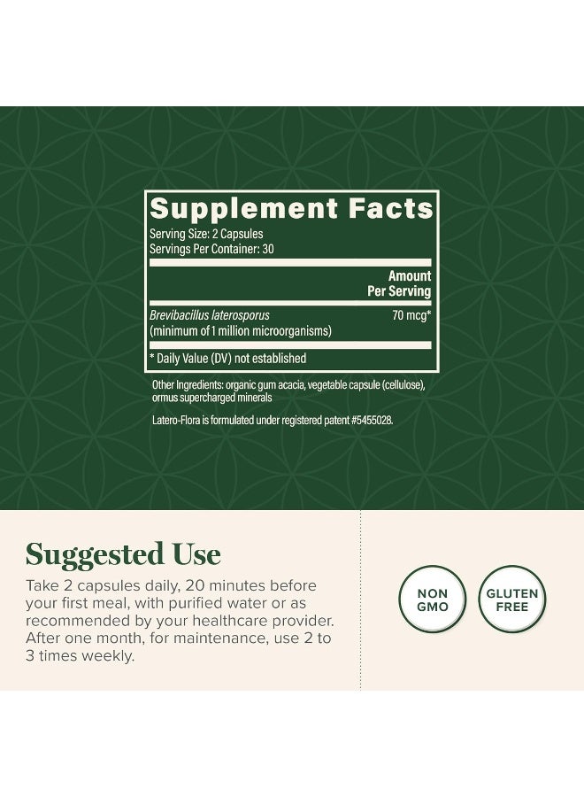 Global Healing Center Latero-Flora, Probiotic Supplement for Men and Women - Non-GMO, Vegan, 60 Capsules - Image 3