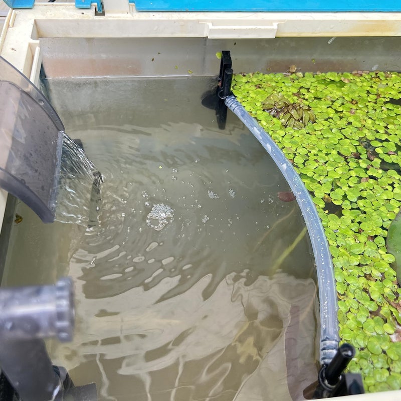 HOZOE Floating Plant Fence for Aquarium, Separates Plants, Automatically Adjusts Height with Water Level, Suitable for Most Aquariums. (1 PCS) - Image 1