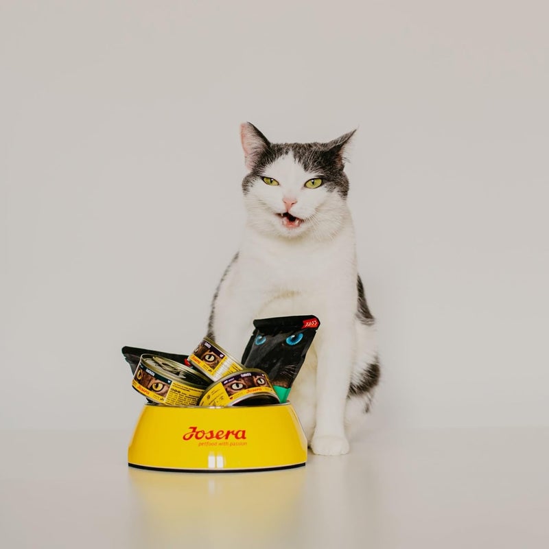 JOSERA JosiCat Dry Cat Food Tasty Beef - 18 Kg - Image 4
