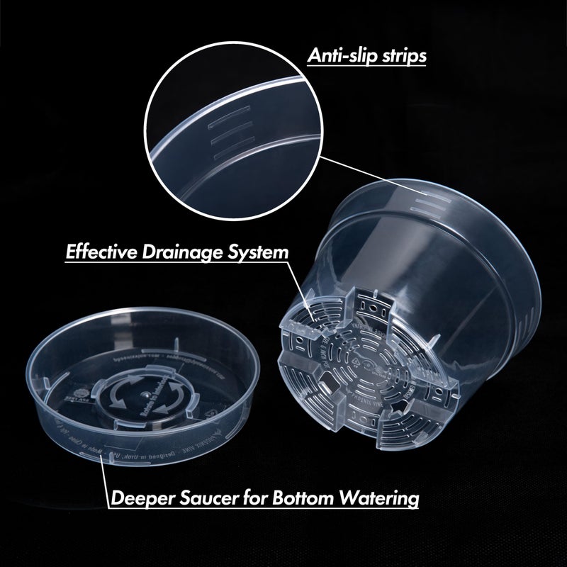 Phoenix Vine 6 Inch Clear Plastic Plant Pot with Drainage Holes, Interlocking & Detachable Tray - Deep Saucer - Durable BPA-Free Plastic, Transparent Design, Raised Base for Airflow, Set of 6, 92-X-A-4 - Image 5