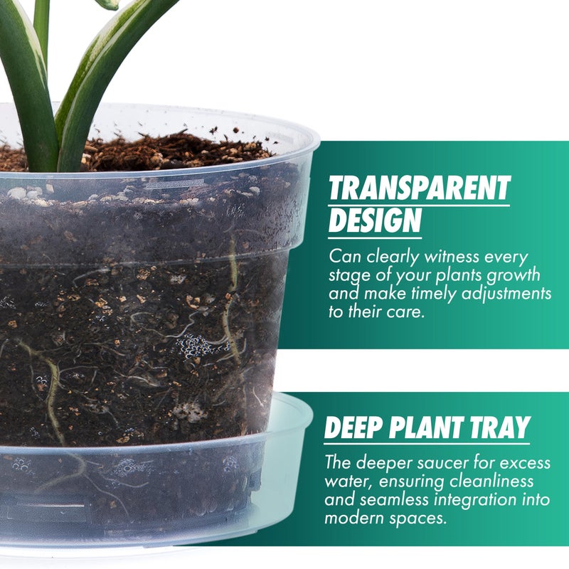Phoenix Vine 6 Inch Clear Plastic Plant Pot with Drainage Holes, Interlocking & Detachable Tray - Deep Saucer - Durable BPA-Free Plastic, Transparent Design, Raised Base for Airflow, Set of 6, 92-X-A-4 - Image 3