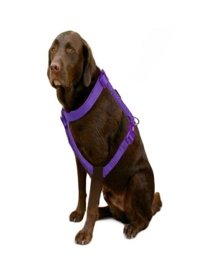 Trixie Premium Touring Harness for Dogs, Made with Fleece Padding, Adjustable, and Lightweight Strong D-Ring Keeps The Harness and Leash in Place (M-L, Violet), 52-75 cm/ 20 mm - Image 3