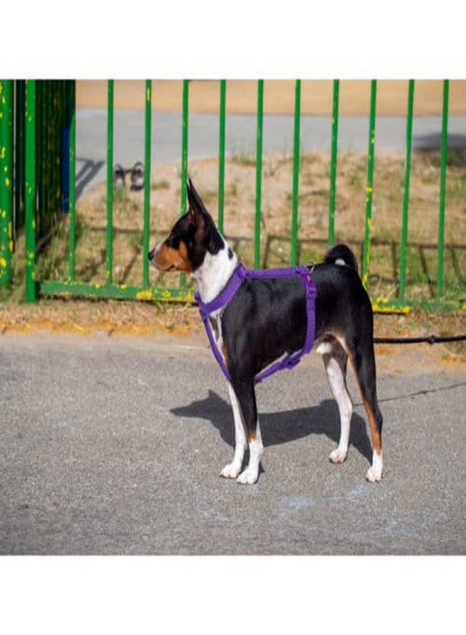 Trixie Premium Touring Harness for Dogs, Made with Fleece Padding, Adjustable, and Lightweight Strong D-Ring Keeps The Harness and Leash in Place (M-L, Violet), 52-75 cm/ 20 mm - Image 2
