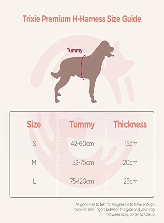 Trixie Premium Touring Harness for Dogs, Made with Fleece Padding, Adjustable, and Lightweight Strong D-Ring Keeps The Harness and Leash in Place (M-L, Violet), 52-75 cm/ 20 mm - Image 5