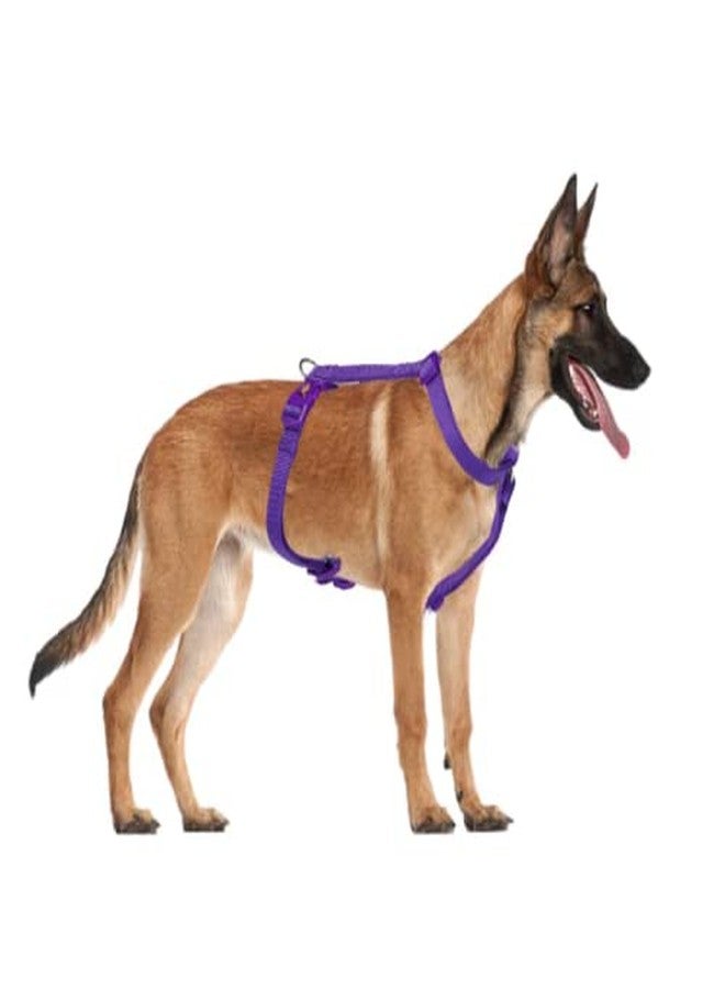 Trixie Premium Touring Harness for Dogs, Made with Fleece Padding, Adjustable, and Lightweight Strong D-Ring Keeps The Harness and Leash in Place (M-L, Violet), 52-75 cm/ 20 mm - Image 4