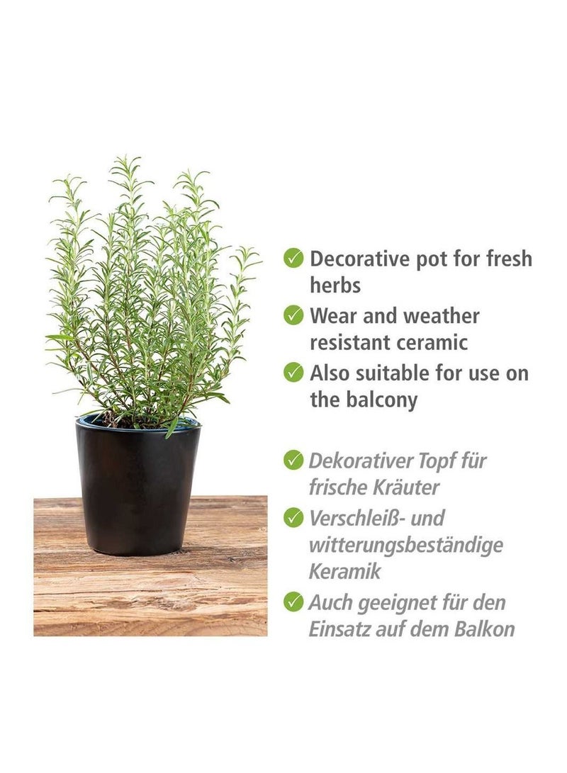 Wenko Kuro Ceramic Herb Pot 13 X 13 X 13 Cm - Image 4