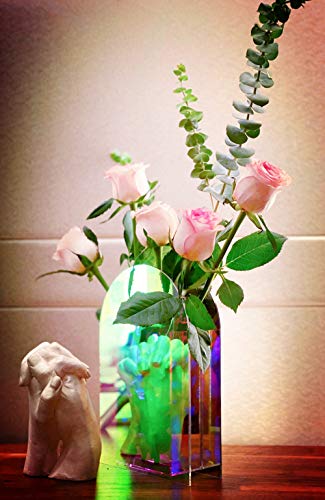 ACFENG Rainbow Acrylic Flower Vase,Iridescent Vase,Acrylic Vase,Acrylic Coloured Vase (Rainbow, 6.3''Wx1.97''Dx9.45''H) - Image 5
