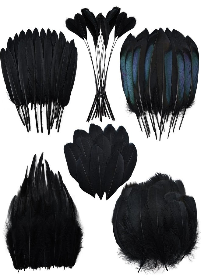Daieeparty Black Craft Feathers Bulk - 180pcs 6 Style Mixed Natural Feathers for Wedding,DIY Crafts (Black) - Image 1