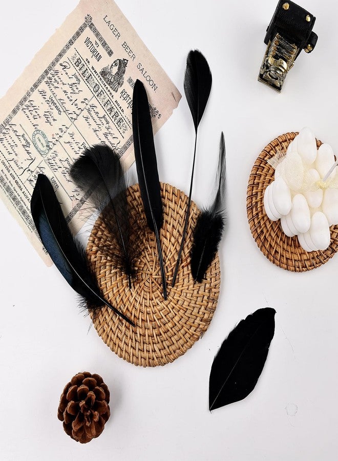 Daieeparty Black Craft Feathers Bulk - 180pcs 6 Style Mixed Natural Feathers for Wedding,DIY Crafts (Black) - Image 4