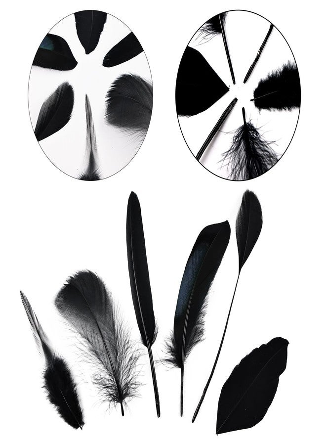 Daieeparty Black Craft Feathers Bulk - 180pcs 6 Style Mixed Natural Feathers for Wedding,DIY Crafts (Black) - Image 3