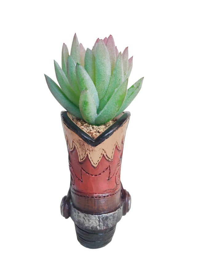 Eagrafts Succulents Plants Artificial, Mini Fake Succulents in Resin Western Cowboy Boot Pot with Catoon Face for Desk Livingroom Home Decoration Office Decor - Image 3