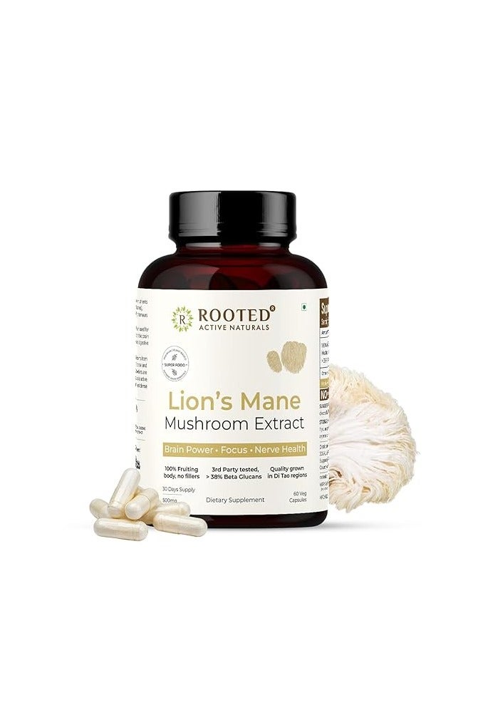 Rooted Active's Lion's Mane Mushroom for Brain Health Support - Mushroom Support for Focus & Memory Function - Immune & Nervous System Supplement | USDA Organic | 60 Caps - Image 1