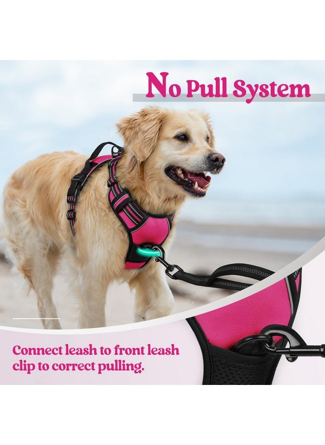 Rabbitgoo rabbitgoo Dog Harness No Pull with 2 Leash Clips, Adjustable Soft Padded, Reflective Oxford No Choke Pet Vest with Easy Control Handle for Large Dogs, Hot Pink, L  - Image 4