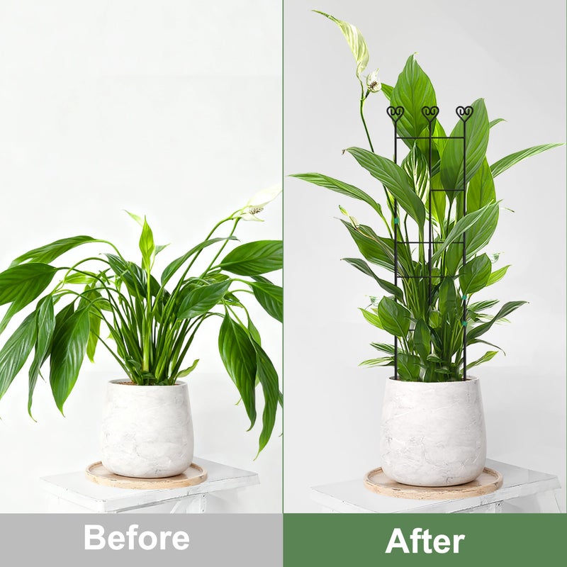 Coomin 2 Pack 32in Monstera Plant Support Stakes for Indoor Plants, Stackable Garden Trellis for Climbing Plants Outdoor, Metal Plant Climber Support for Pothos Philodendron Vine - Image 4