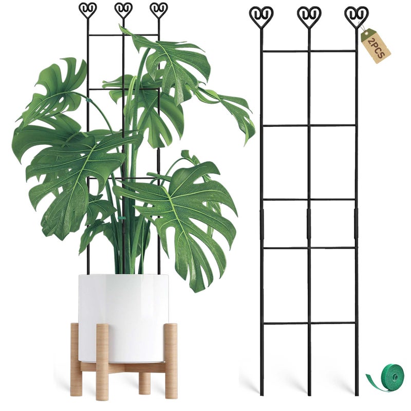 Coomin 2 Pack 32in Monstera Plant Support Stakes for Indoor Plants, Stackable Garden Trellis for Climbing Plants Outdoor, Metal Plant Climber Support for Pothos Philodendron Vine - Image 1