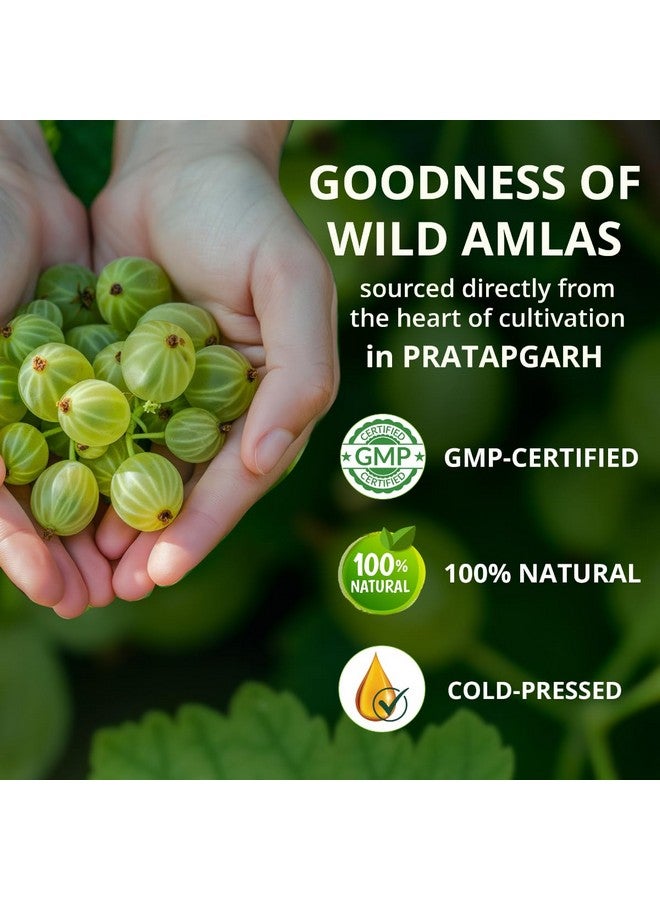 Vansaar Ayurvedic Tangy Amla Juice - 1L | 100% Cold Pressed Wild Amlas Rich In Vitamin C Sourced from Pratapgarh | Farm to Bottle in 12 Hours | 75 Pure Amlas for Hair Growth & Detoxification - Image 3
