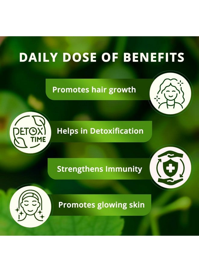 Vansaar Ayurvedic Tangy Amla Juice - 1L | 100% Cold Pressed Wild Amlas Rich In Vitamin C Sourced from Pratapgarh | Farm to Bottle in 12 Hours | 75 Pure Amlas for Hair Growth & Detoxification - Image 4